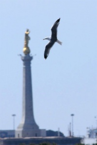 Messine, Madonnina del Porto